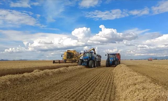 PDP Veľké Kostoľany